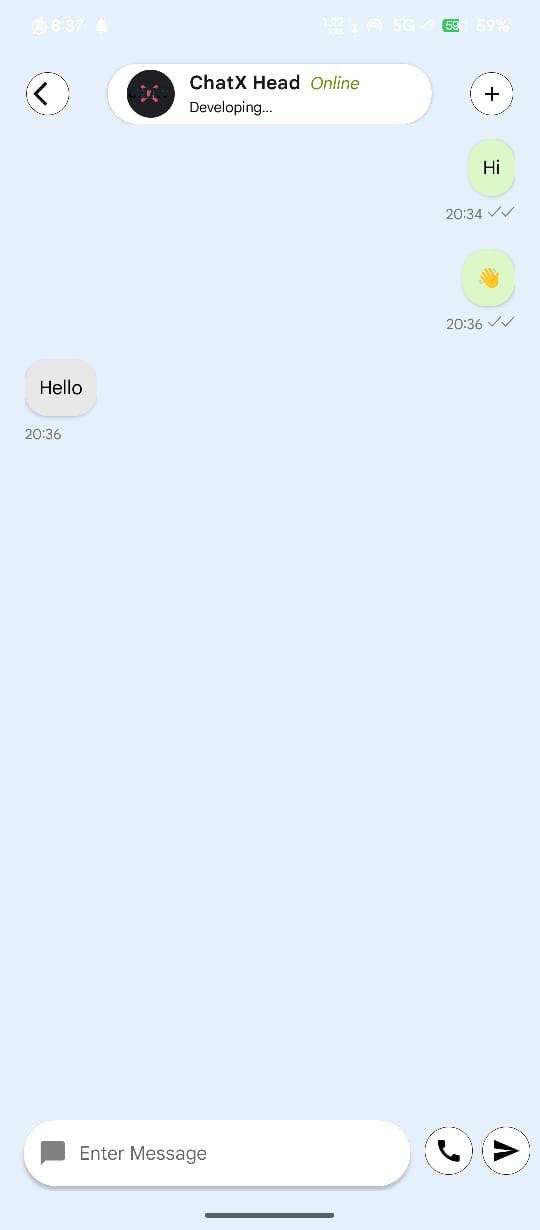 Chat Interface